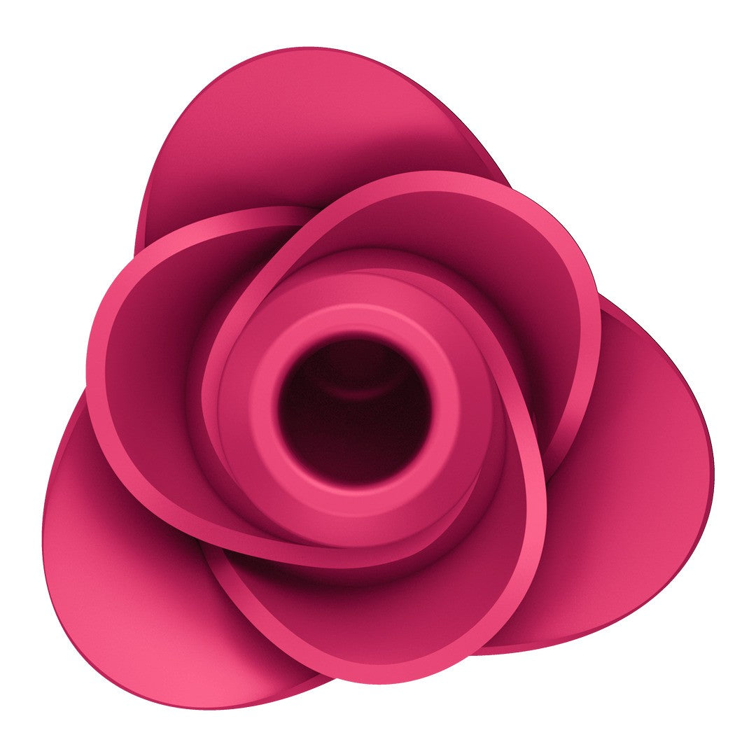 Air Pulse Vibrator Pro 2 Modern Rose – Satisfyer